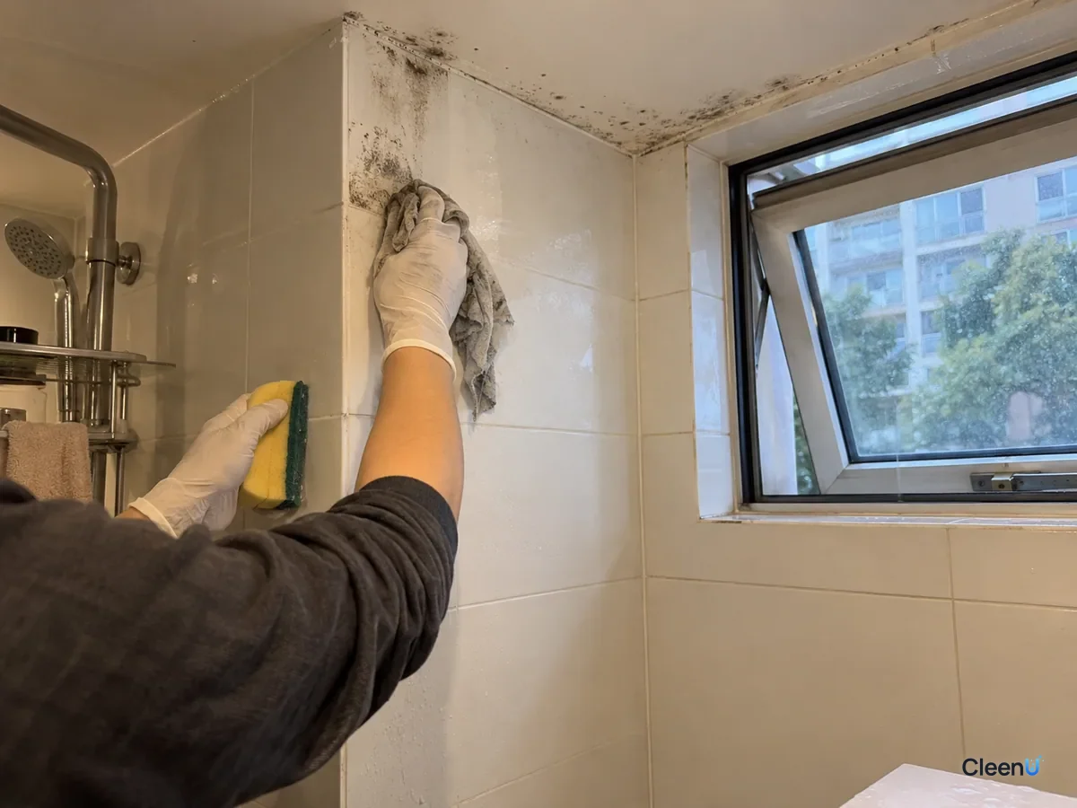 A white nitrile-gloved hand wipes gray-black mold from a tiled bathroom corner, the wiped part lighter, while the painted ceiling edge just above also shows scattered spots; window open.