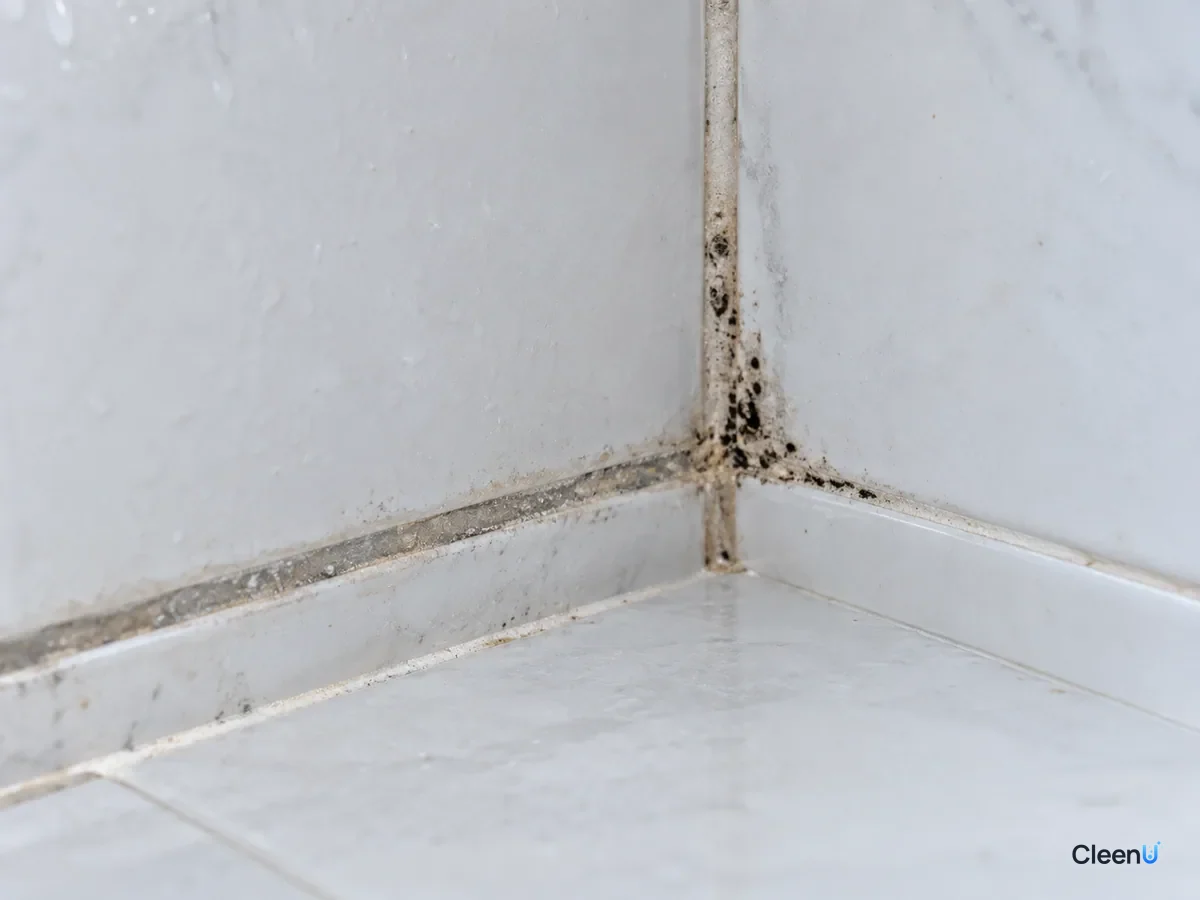 AI illustration: Shower grout in a corner, one side evenly gray and the other speckled with black mold spots
