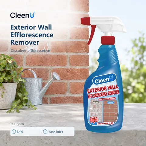 CleenU Exterior Wall Efflorescence Remover