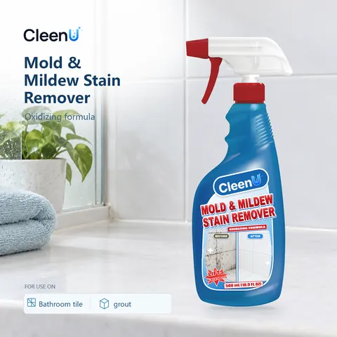 CleenU Mold & Mildew Stain Remover
