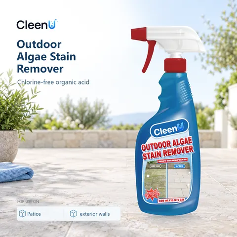 CleenU Outdoor Algae Stain Remover