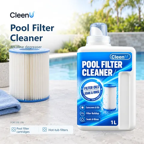 CleenU Pool Filter Cleaner